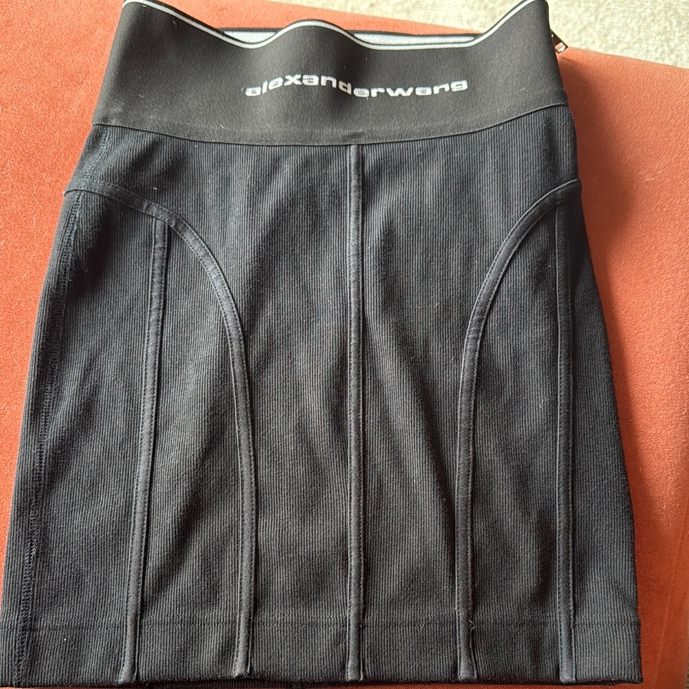 Alexander Wang Black Skirt